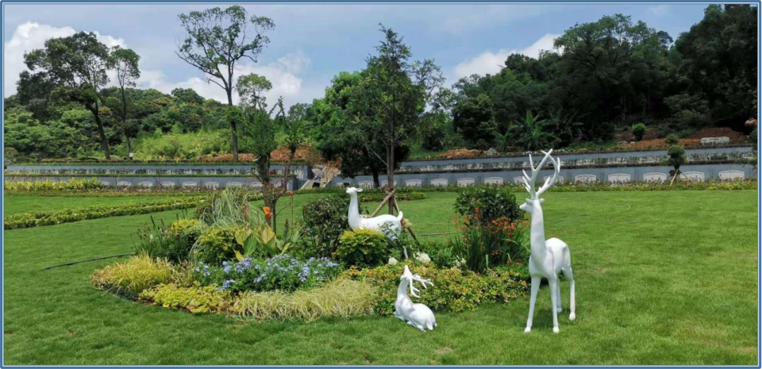 ��ҳ - ���ɱ����ǹ��ʹٷ���վ