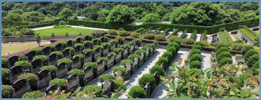 ��ҳ - ���ɱ����ǹ��ʹٷ���վ