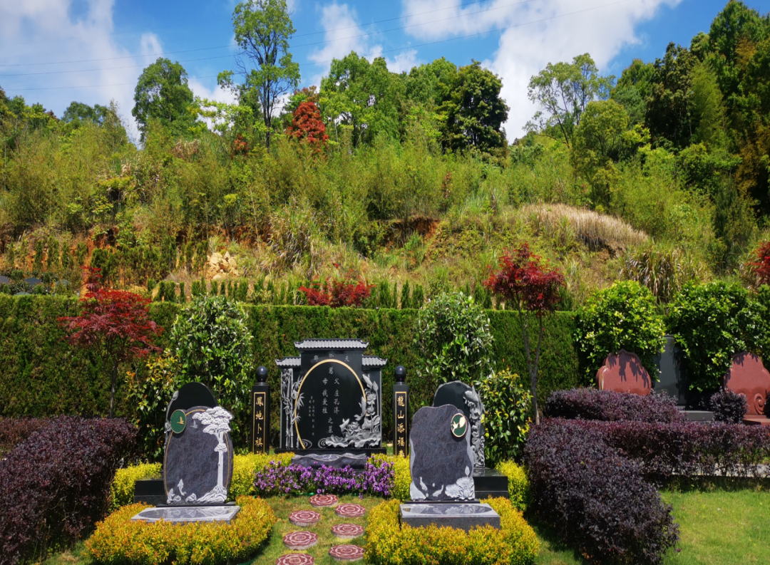 ��ҳ - ���ɱ����ǹ��ʹٷ���վ