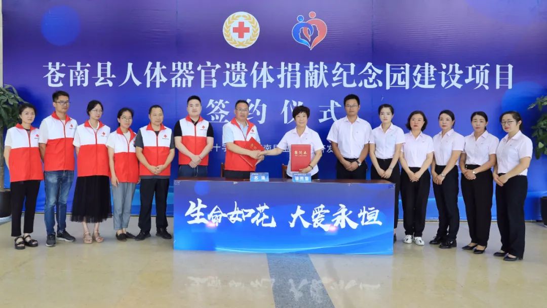 <b>�����绨�������㣡</b>