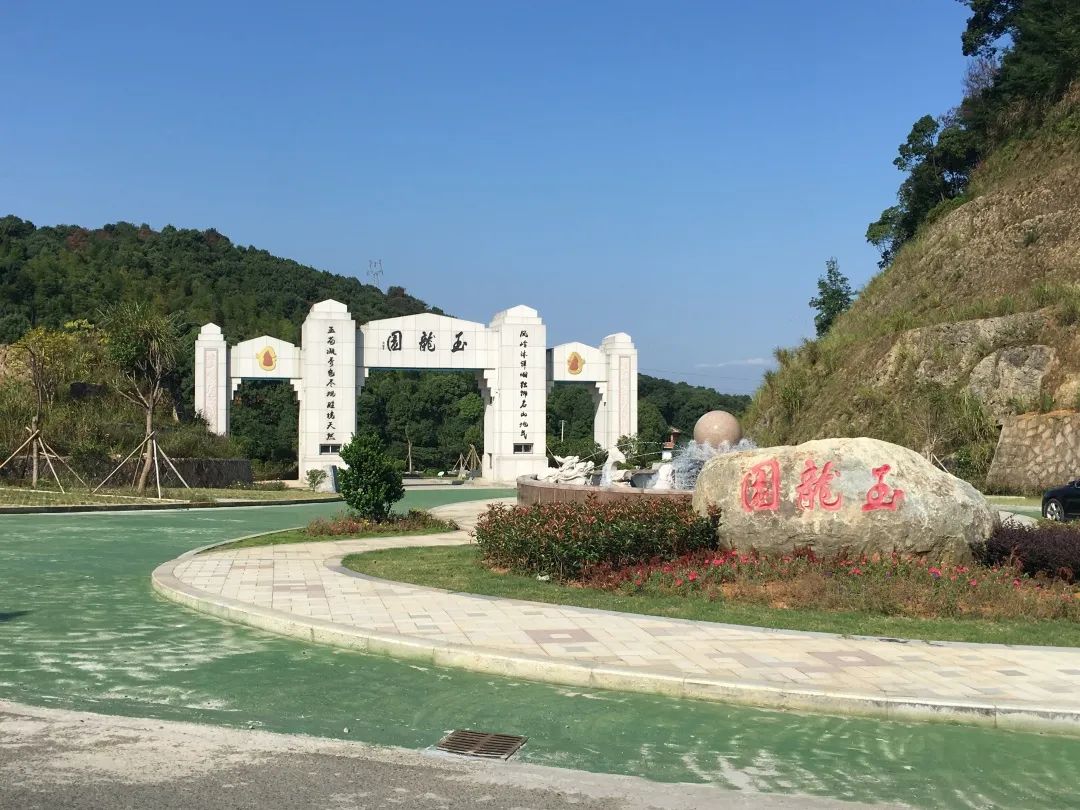 ��ҳ - ���ɱ����ǹ��ʹٷ���վ