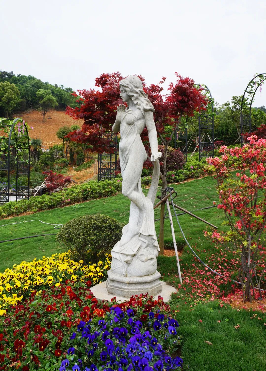 ��ҳ - ���ɱ����ǹ��ʹٷ���վ