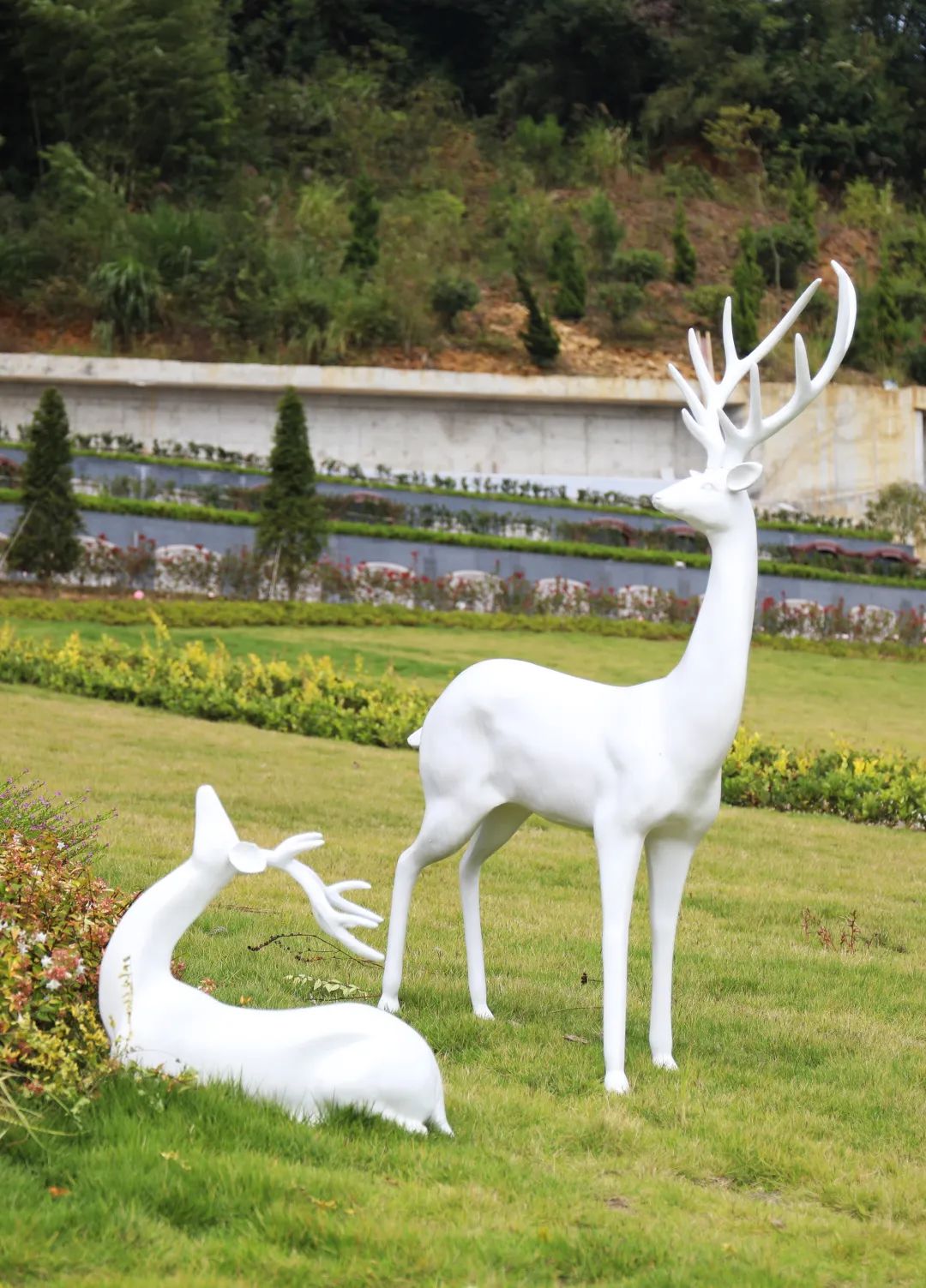 ��ҳ - ���ɱ����ǹ��ʹٷ���վ