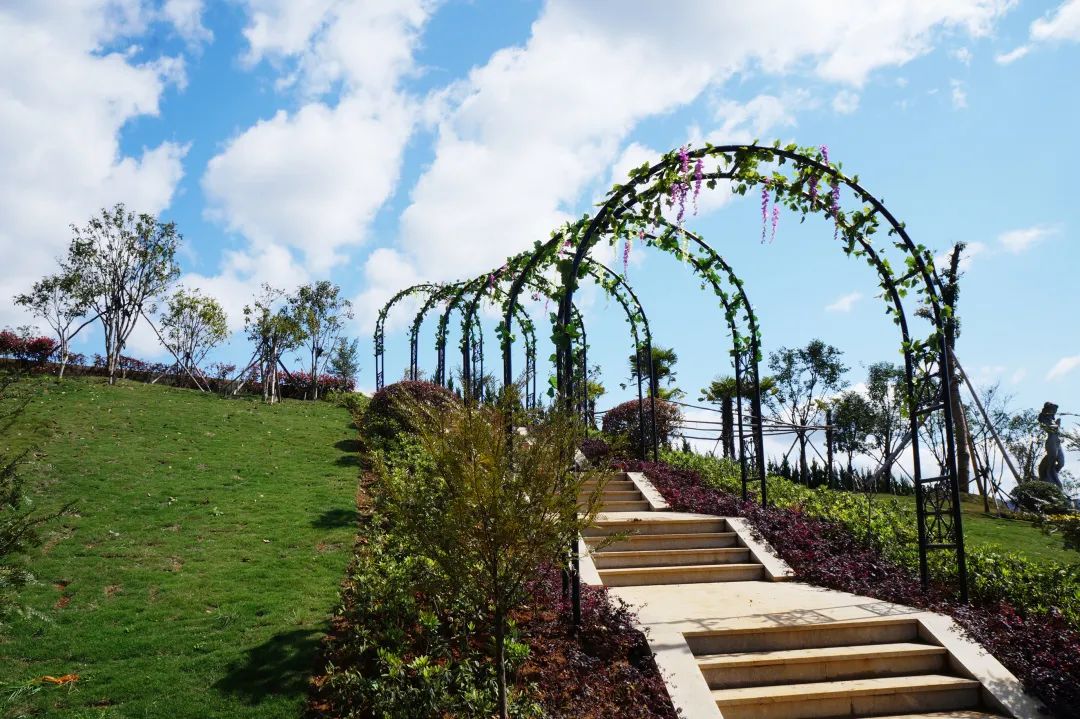 ��ҳ - ���ɱ����ǹ��ʹٷ���վ