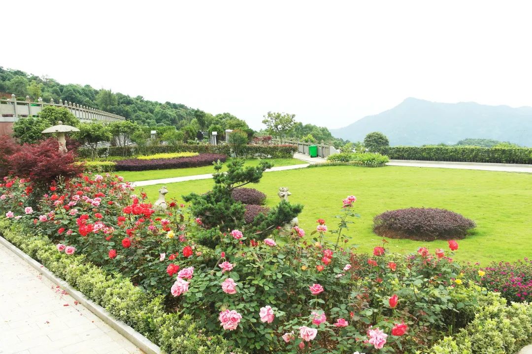 ��ҳ - ���ɱ����ǹ��ʹٷ���վ