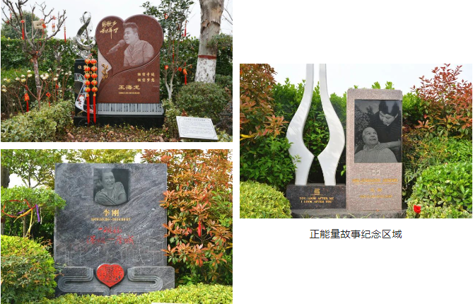 ��ҳ - ���ɱ����ǹ��ʹٷ���վ