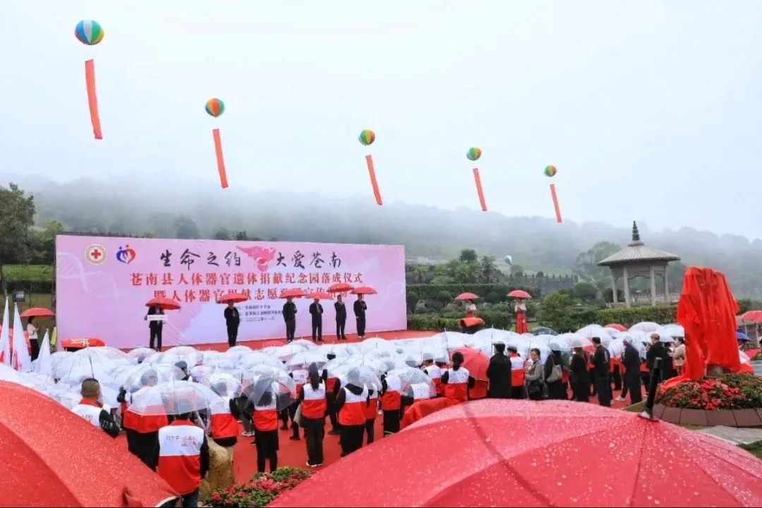 <b>����֮Լ��������</b>