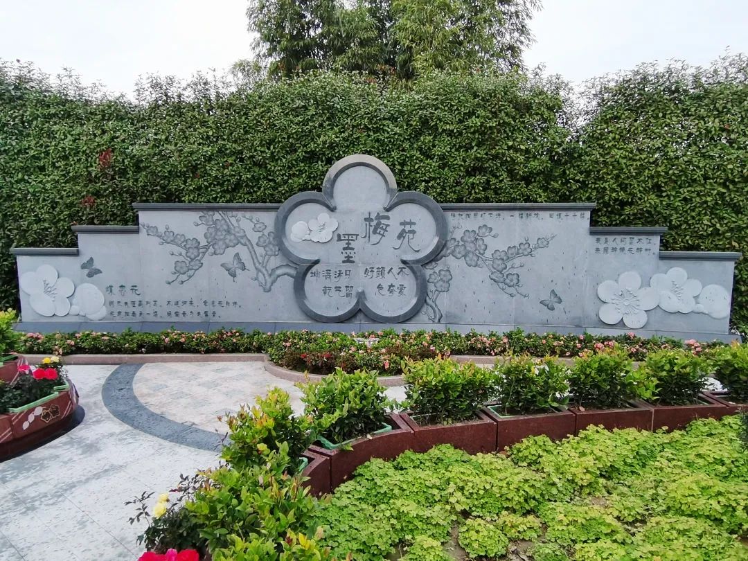 ��ҳ - ���ɱ����ǹ��ʹٷ���վ