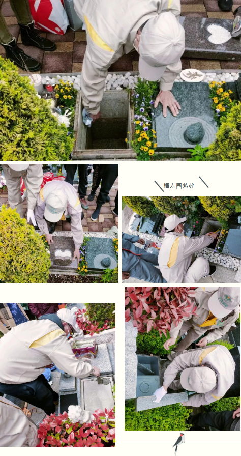 ��ҳ - ���ɱ����ǹ��ʹٷ���վ