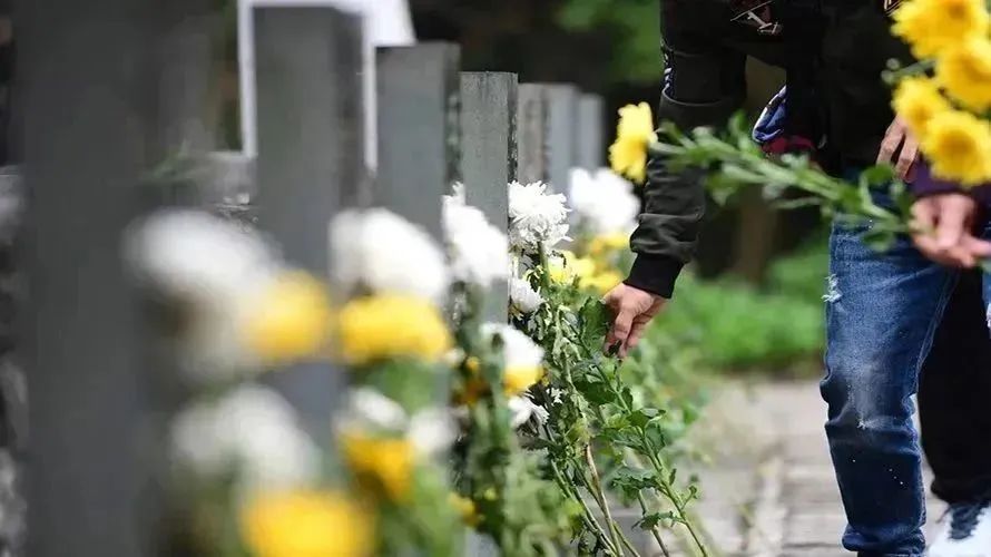 ��ҳ - ���ɱ����ǹ��ʹٷ���վ