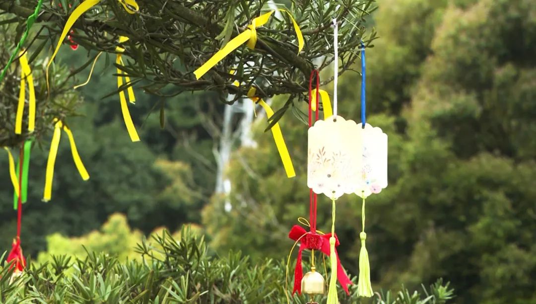 ��ҳ - ���ɱ����ǹ��ʹٷ���վ