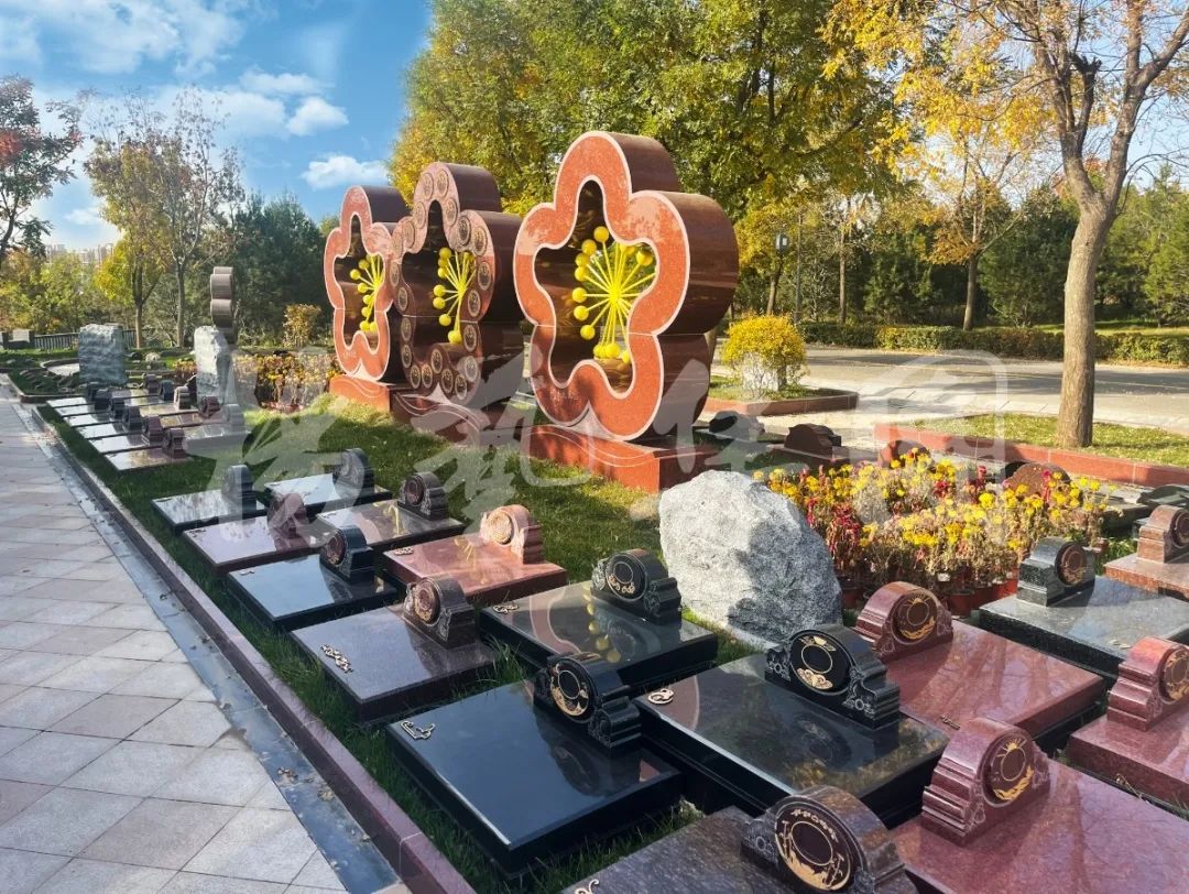 ��ҳ - ���ɱ����ǹ��ʹٷ���վ