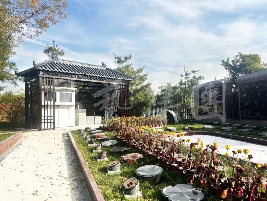 ��ҳ - ���ɱ����ǹ��ʹٷ���վ