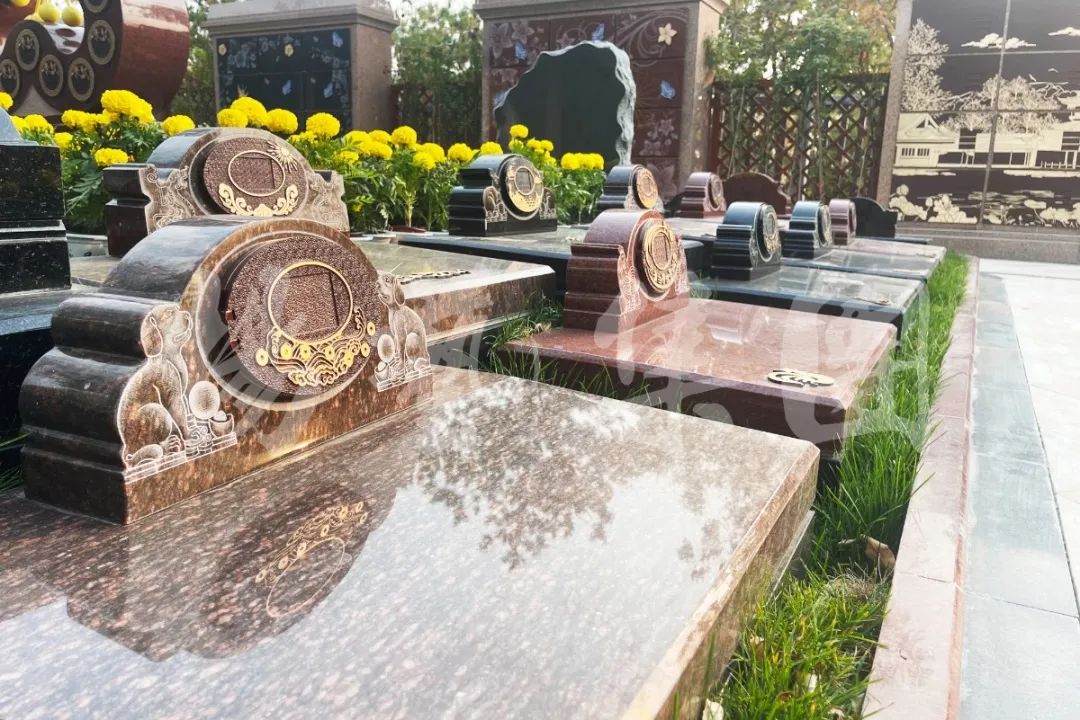 ��ҳ - ���ɱ����ǹ��ʹٷ���վ