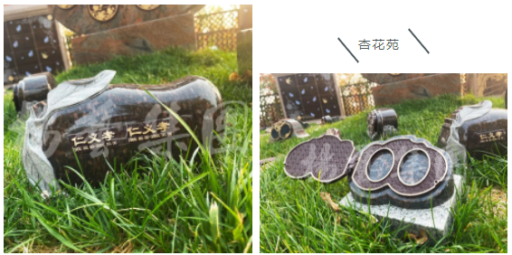 ��ҳ - ���ɱ����ǹ��ʹٷ���վ