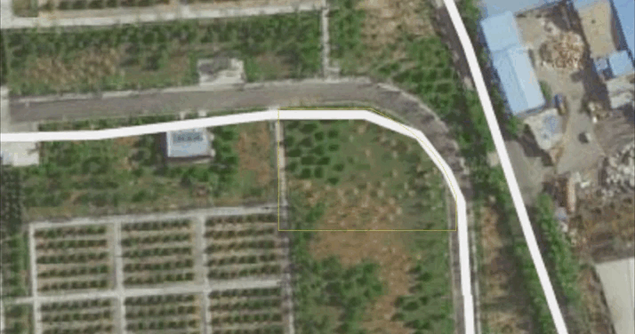 ��ҳ - ���ɱ����ǹ��ʹٷ���վ