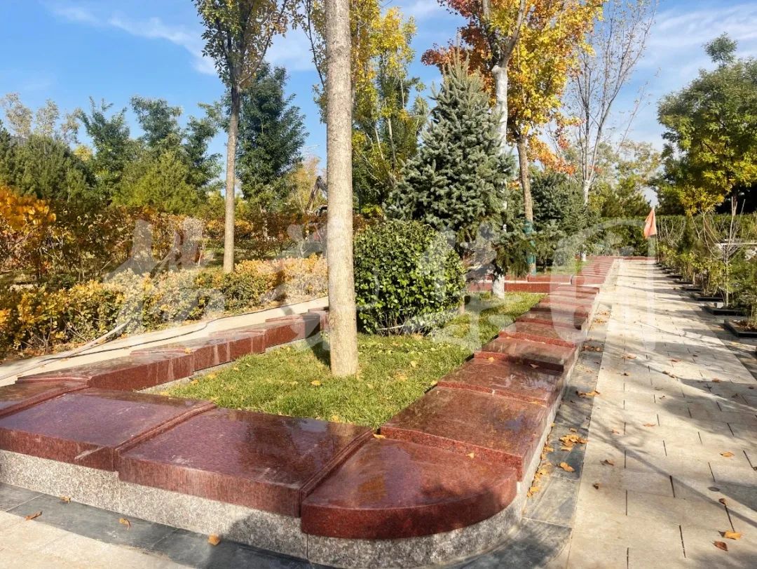 ��ҳ - ���ɱ����ǹ��ʹٷ���վ