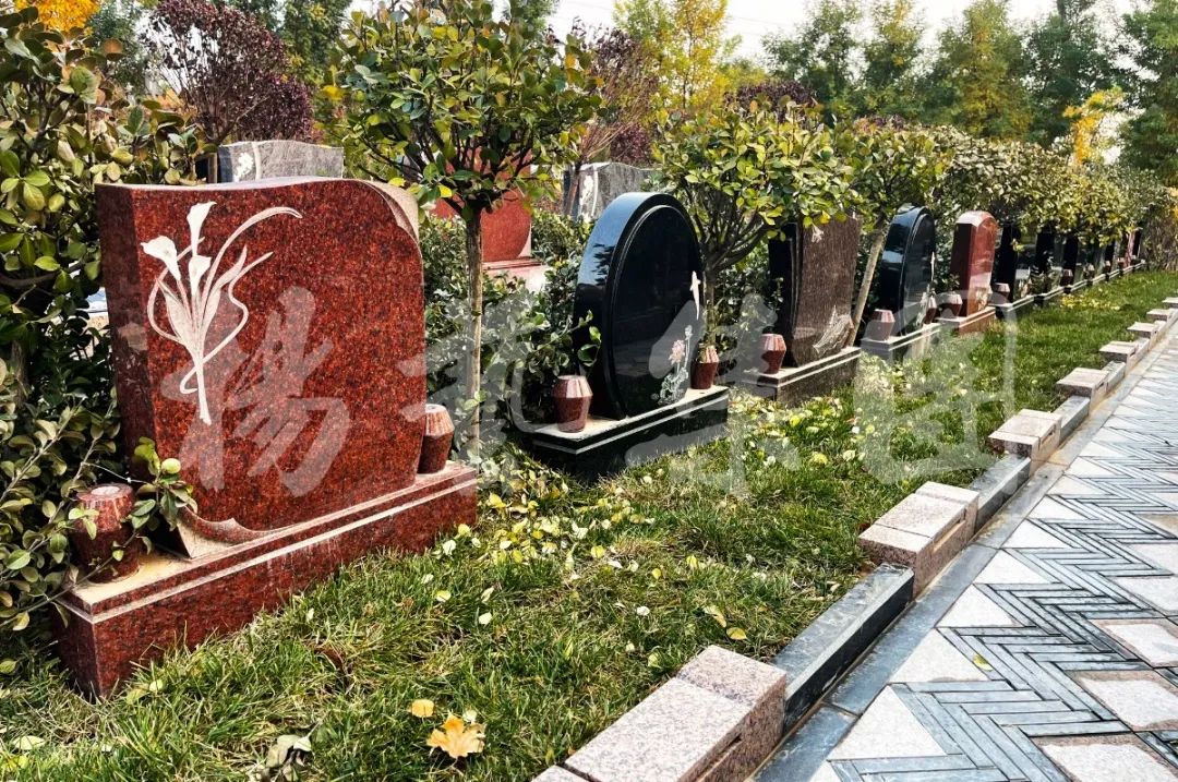 ��ҳ - ���ɱ����ǹ��ʹٷ���վ