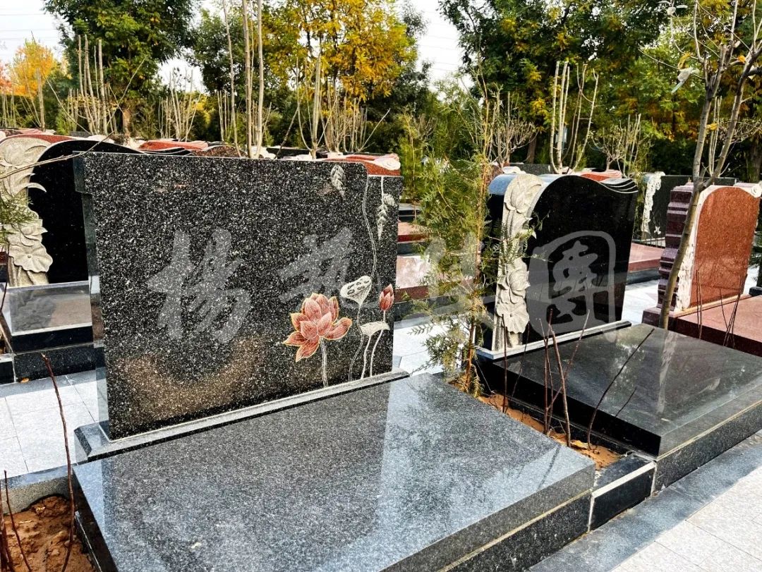 ��ҳ - ���ɱ����ǹ��ʹٷ���վ