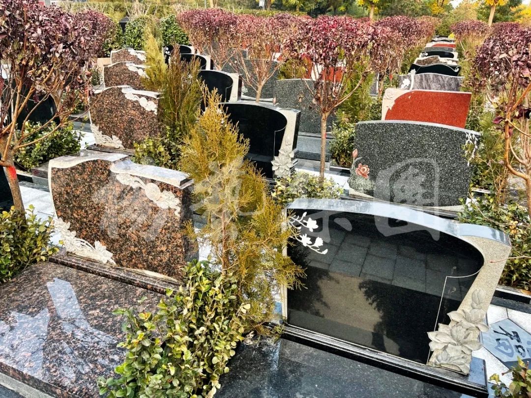 ��ҳ - ���ɱ����ǹ��ʹٷ���վ