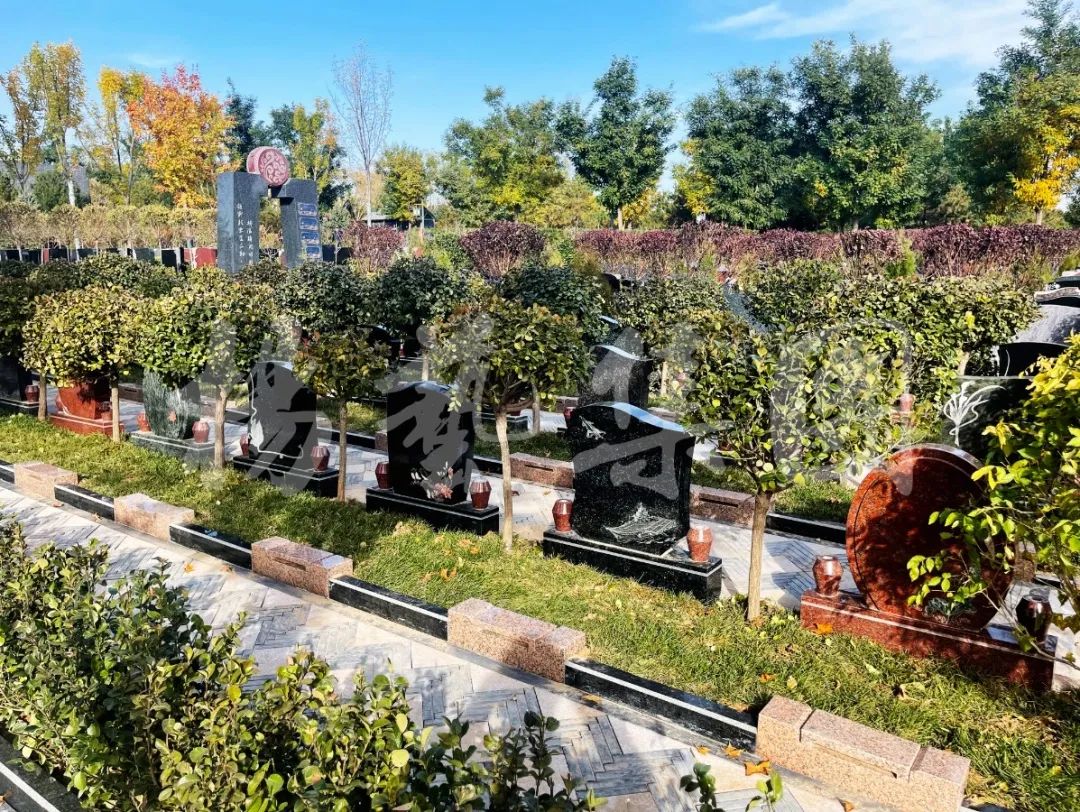 ��ҳ - ���ɱ����ǹ��ʹٷ���վ