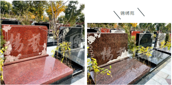 ��ҳ - ���ɱ����ǹ��ʹٷ���վ