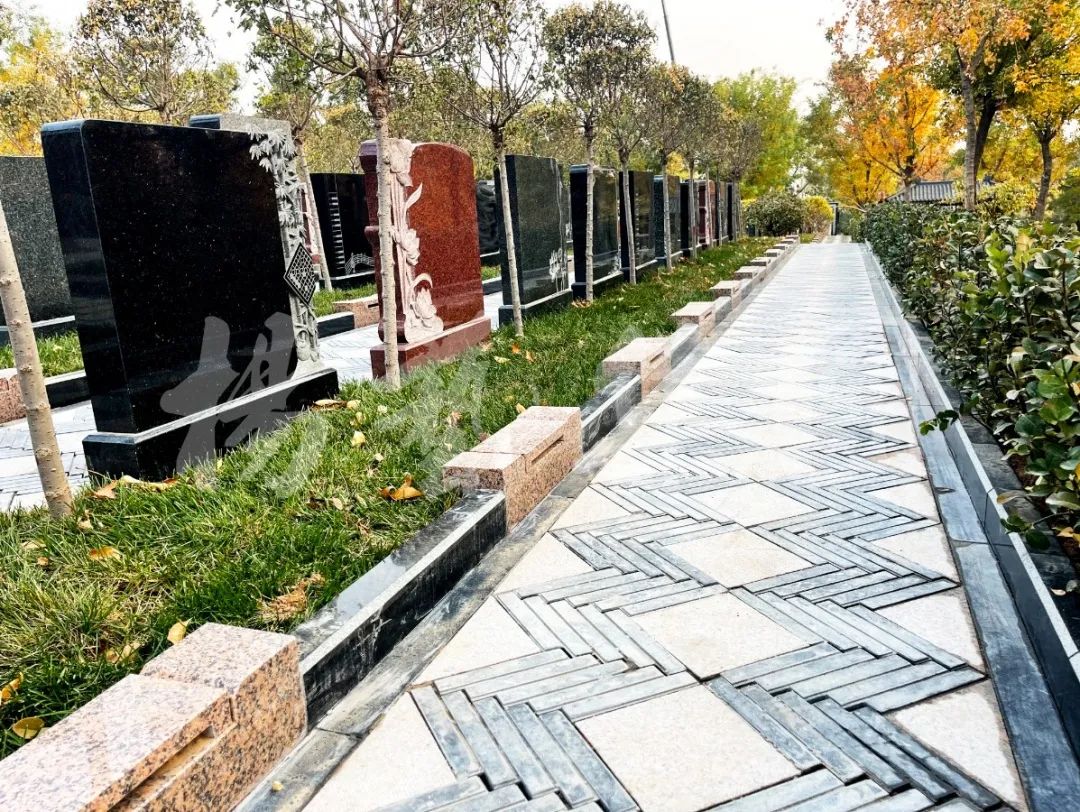 ��ҳ - ���ɱ����ǹ��ʹٷ���վ