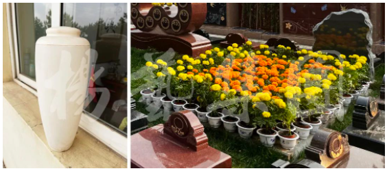 ��ҳ - ���ɱ����ǹ��ʹٷ���վ