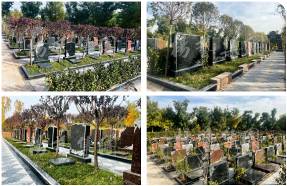 ��ҳ - ���ɱ����ǹ��ʹٷ���վ