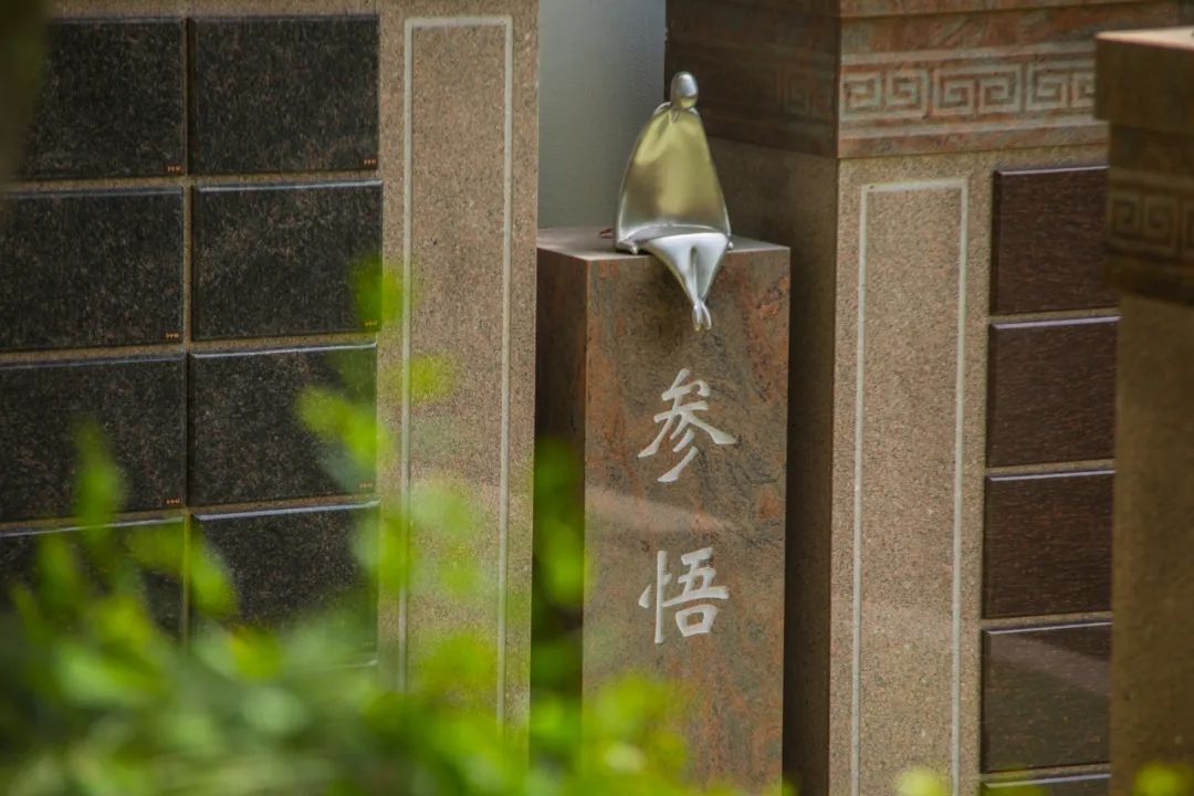 ��ҳ - ���ɱ����ǹ��ʹٷ���վ