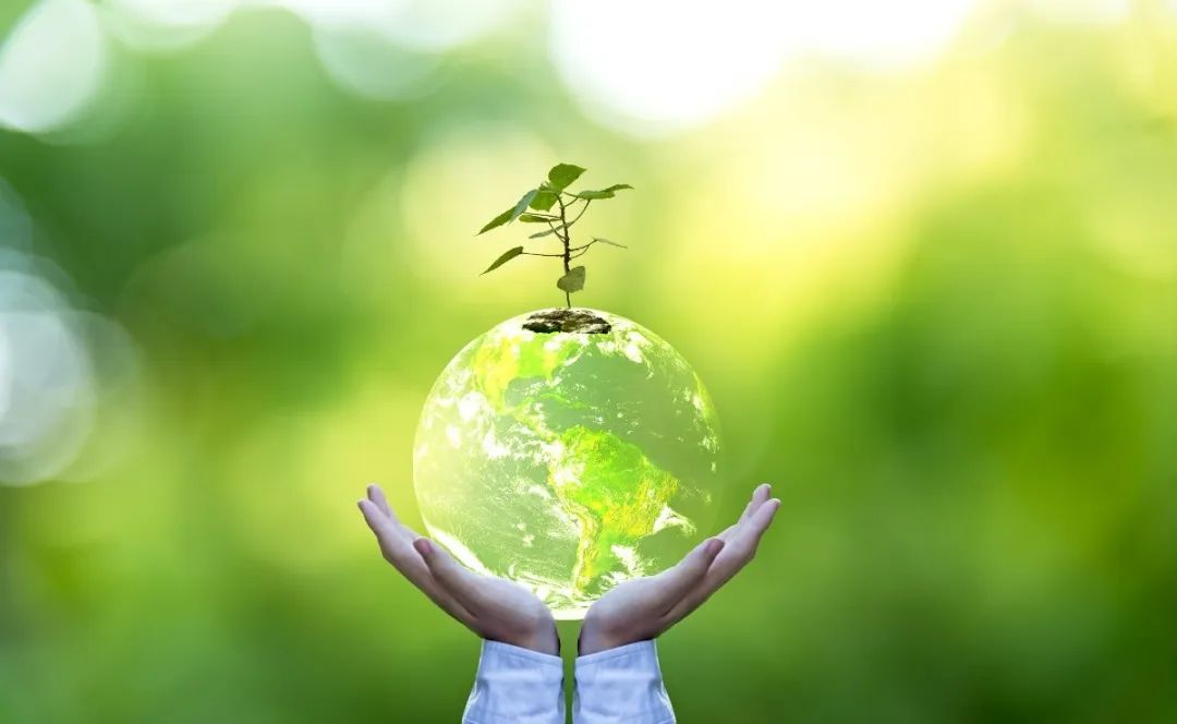 ��ҳ - ���ɱ����ǹ��ʹٷ���վ