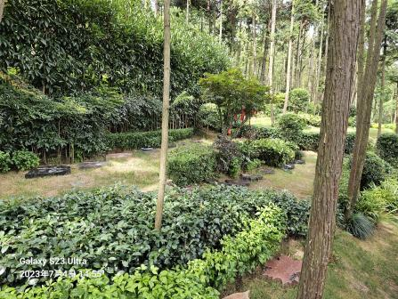 ��ҳ - ���ɱ����ǹ��ʹٷ���վ