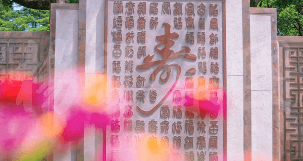 ��ҳ - ���ɱ����ǹ��ʹٷ���վ