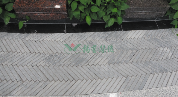 ��ҳ - ���ɱ����ǹ��ʹٷ���վ