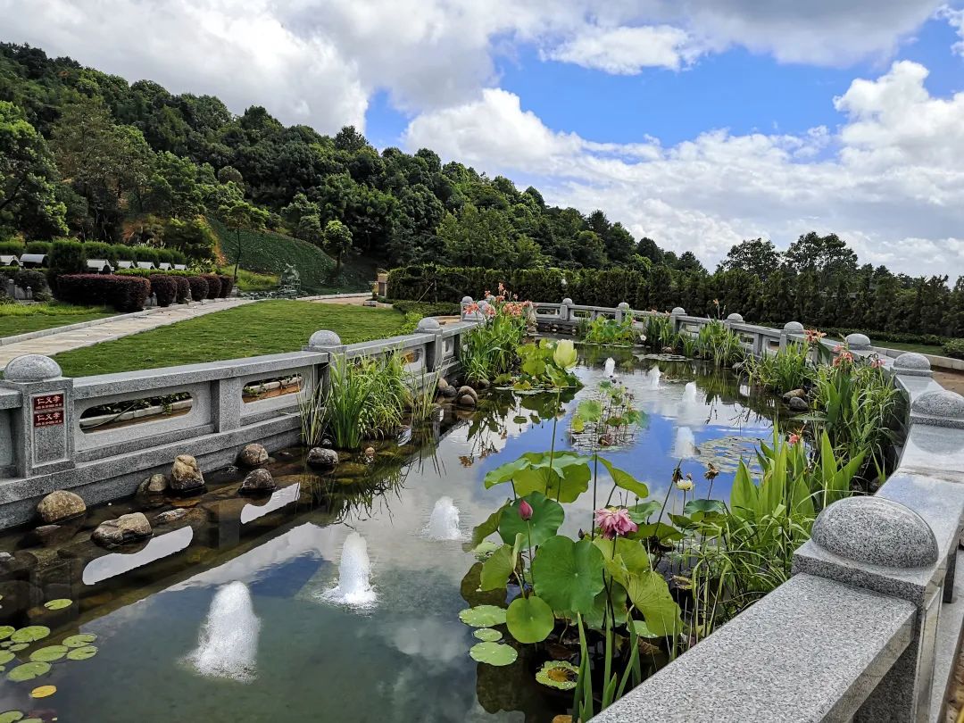 ��ҳ - ���ɱ����ǹ��ʹٷ���վ