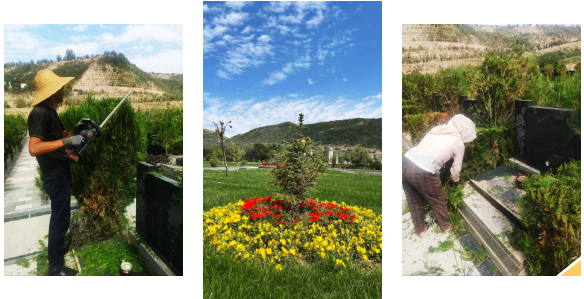 ��ҳ - ���ɱ����ǹ��ʹٷ���վ