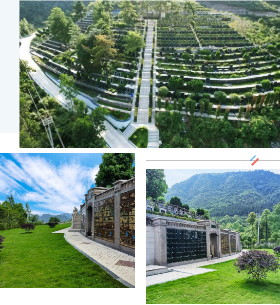 ��ҳ - ���ɱ����ǹ��ʹٷ���վ