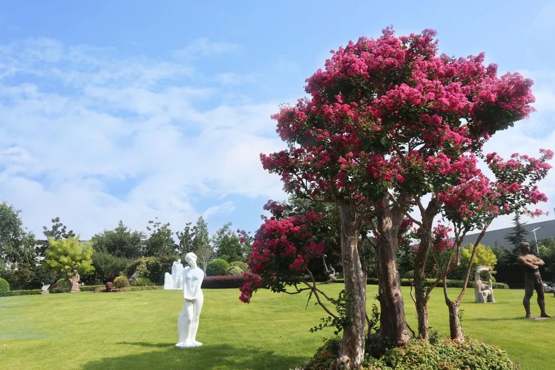 ��ҳ - ���ɱ����ǹ��ʹٷ���վ