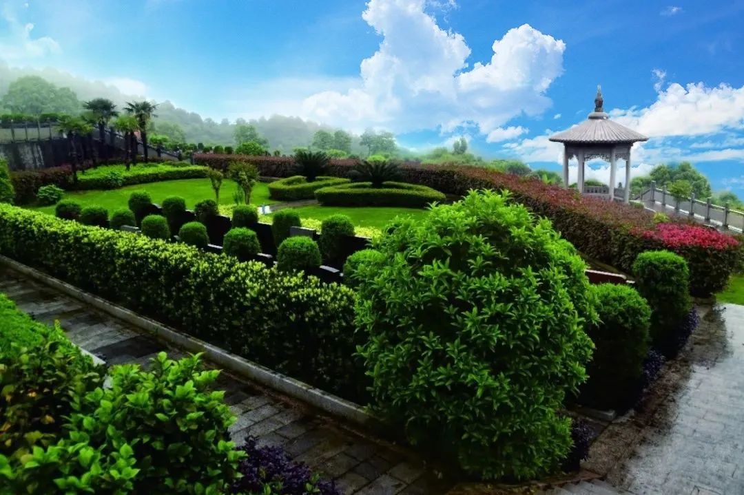 ��ҳ - ���ɱ����ǹ��ʹٷ���վ