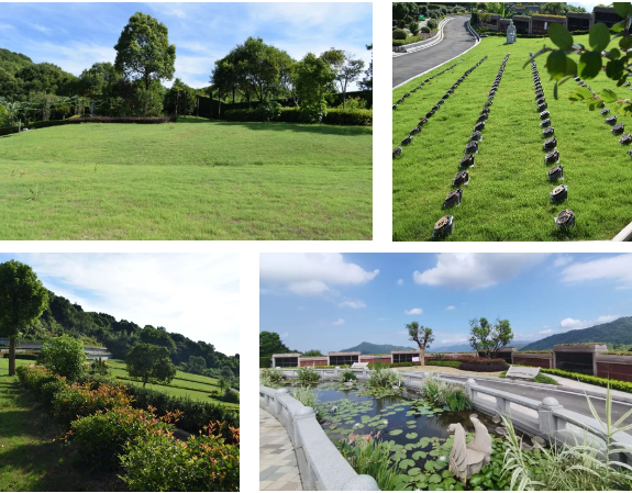 ��ҳ - ���ɱ����ǹ��ʹٷ���վ