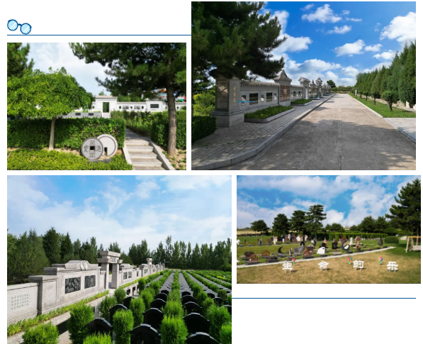 ��ҳ - ���ɱ����ǹ��ʹٷ���վ