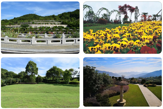 ��ҳ - ���ɱ����ǹ��ʹٷ���վ