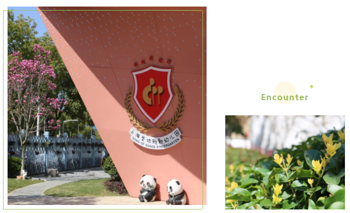 ��ҳ - ���ɱ����ǹ��ʹٷ���վ