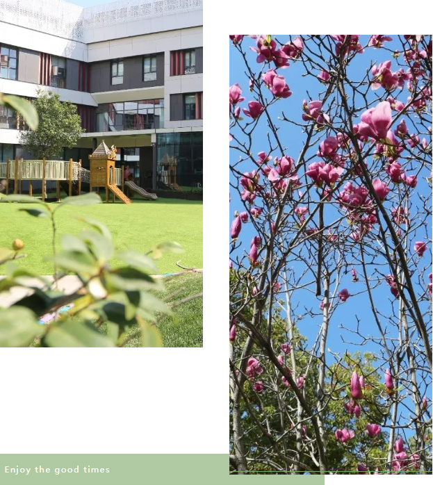 ��ҳ - ���ɱ����ǹ��ʹٷ���վ