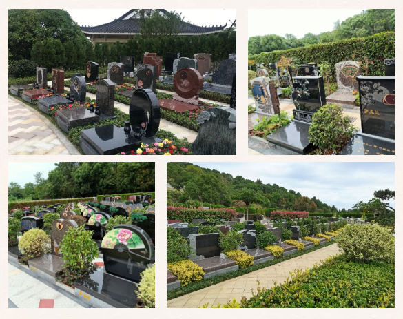 ��ҳ - ���ɱ����ǹ��ʹٷ���վ