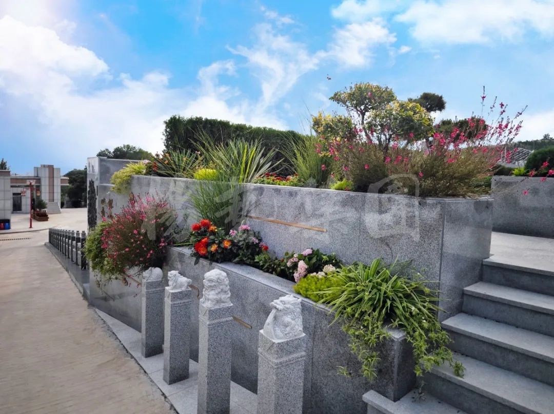 ��ҳ - ���ɱ����ǹ��ʹٷ���վ