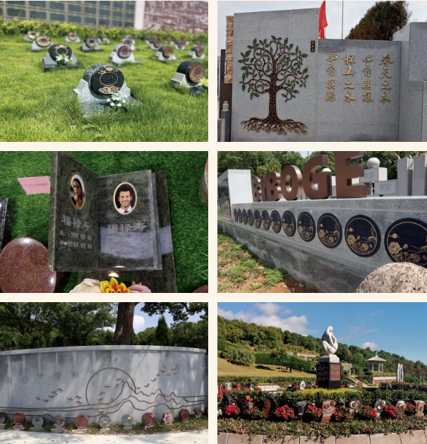 ��ҳ - ���ɱ����ǹ��ʹٷ���վ