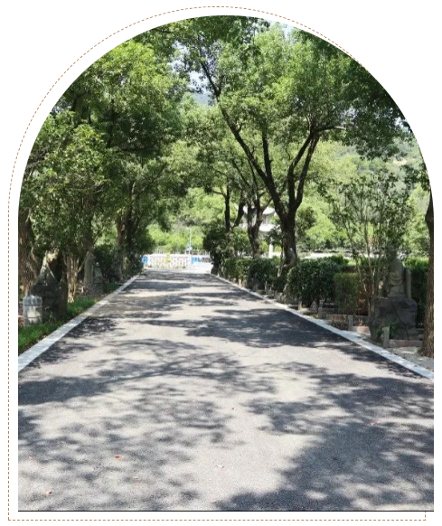 ��ҳ - ���ɱ����ǹ��ʹٷ���վ