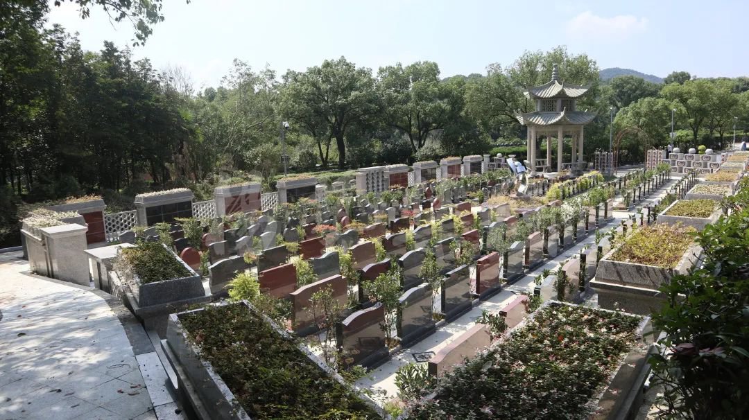 ��ҳ - ���ɱ����ǹ��ʹٷ���վ