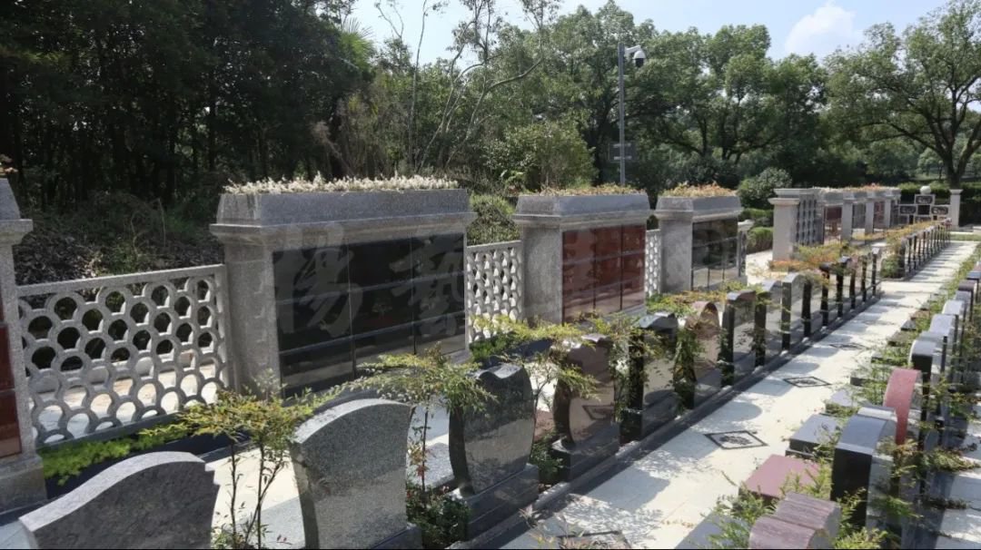 ��ҳ - ���ɱ����ǹ��ʹٷ���վ